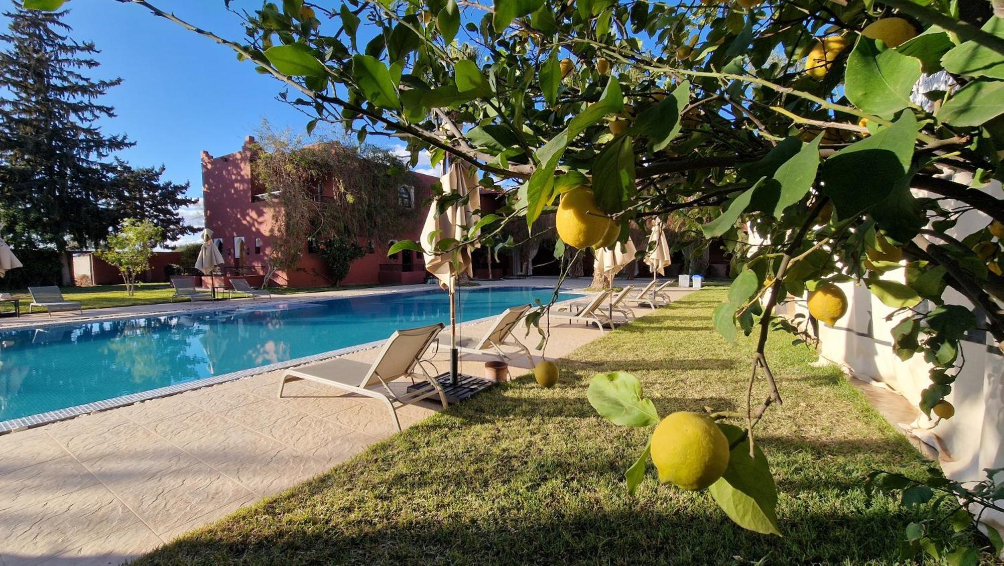 Palace Africa - Marrakech Palmeraie Dar Ilham Douar Blidene المظهر الخارجي الصورة